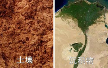 土壤和沉积物